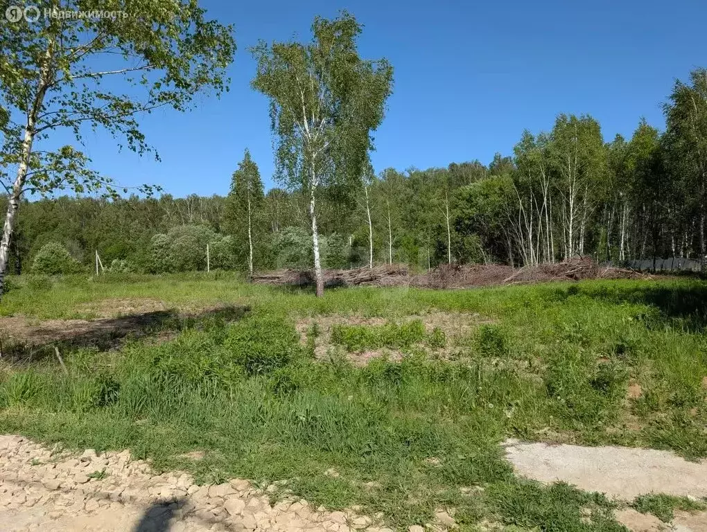 Участок в Тульская область, городской округ Тула, деревня Хопилово (10 ... - Фото 1