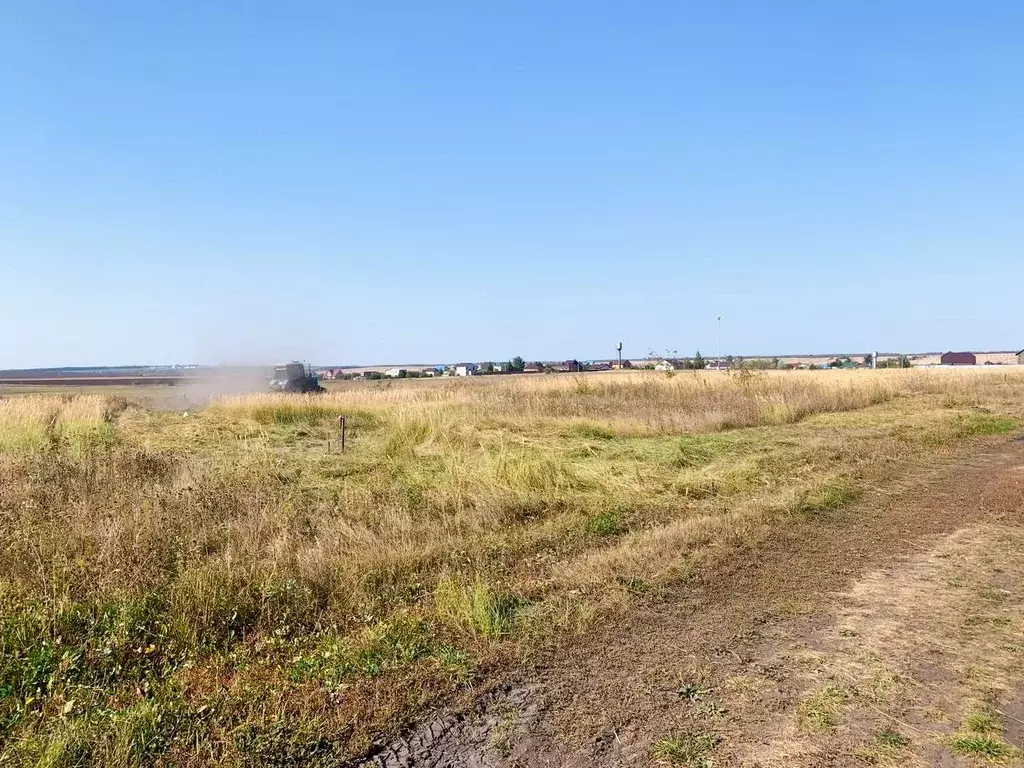 Участок в Липецкая область, Липецкий муниципальный округ, д. Студеные ... - Фото 1