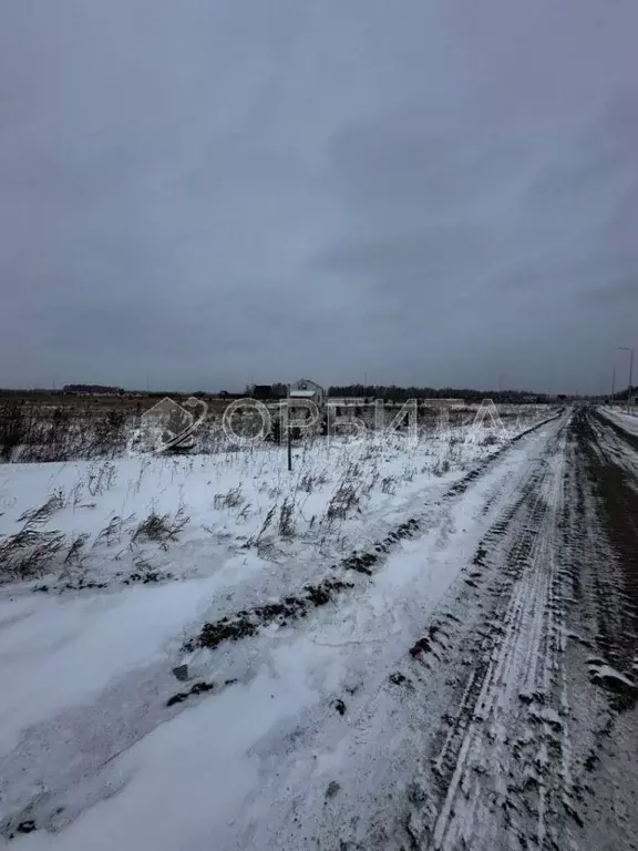 Участок в Тюменская область, Тюменский район, Новокаменский кп ул. ... - Фото 0