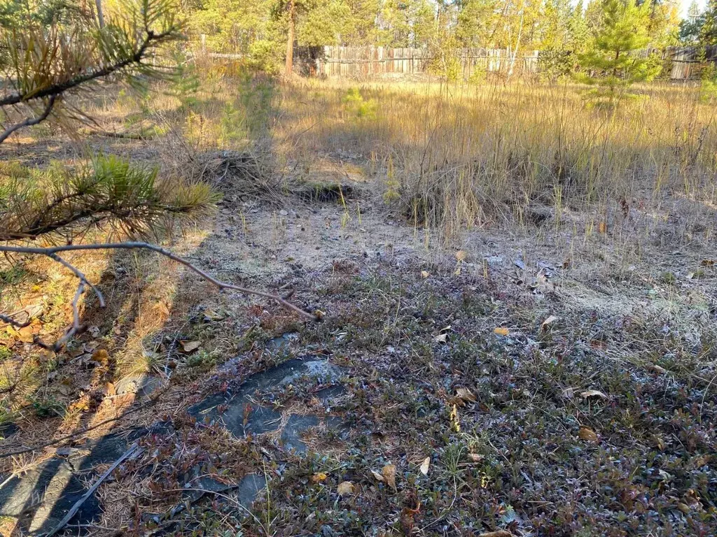 Участок в Саха (Якутия), Мегино-Кангаласский улус, Нижний Бестях пгт, ... - Фото 2