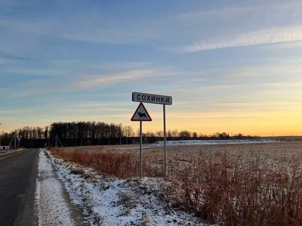 Участок в Московская область, Чехов городской округ, Сохинки ИЖС кп  ... - Фото 1