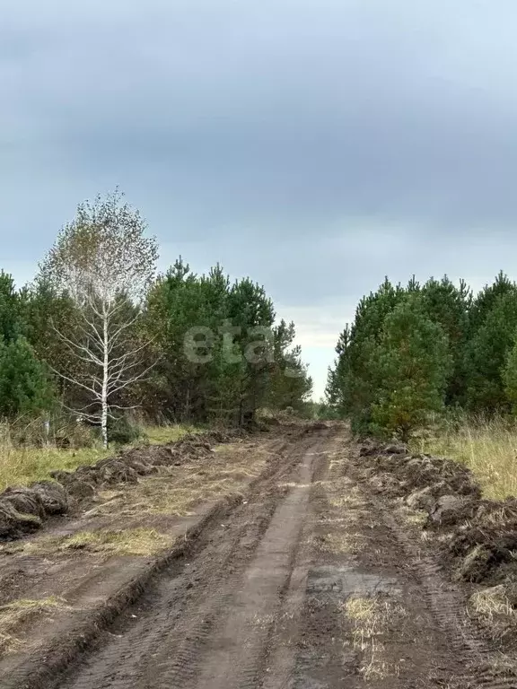 Участок в Алтайский край, Первомайский район, с. Фирсово Палитра жилой ... - Фото 0