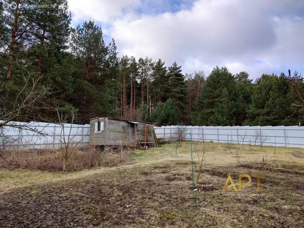 Дом в Одинцовский городской округ, село Луцино (38 м) - Фото 0