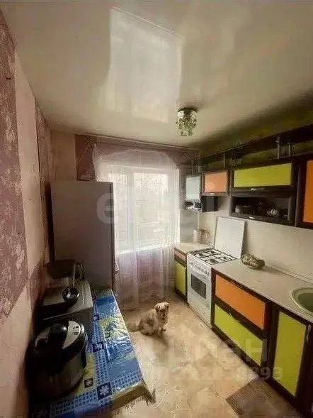 2-к кв. Коми, Сыктывкар Печорская ул., 16А (44.0 м) - Фото 1