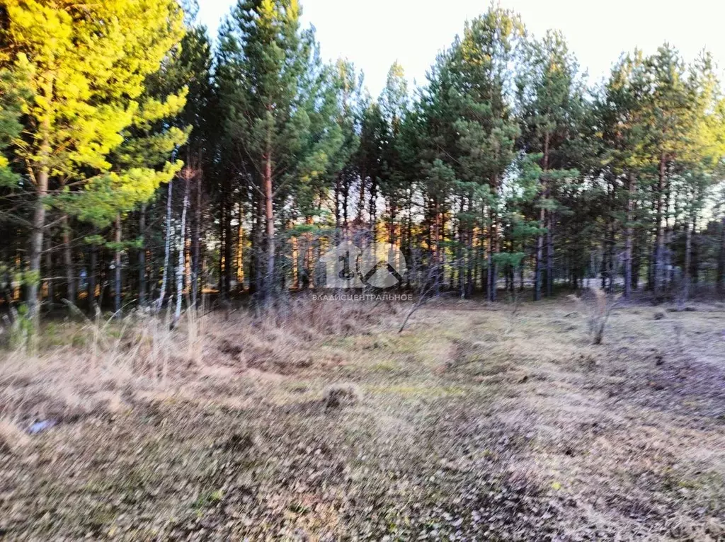 Участок в Новосибирская область, Новосибирск ул. Солидарности, 29 (8.0 ... - Фото 2