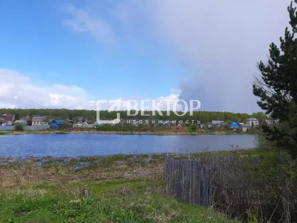 Участок в Костромская область, Кострома пос. Селище,  (8.0 сот.) - Фото 2