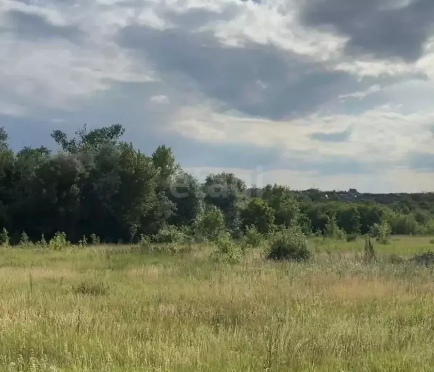 Участок в Белгородская область, Белгород Сухой Лог садоводческий ... - Фото 1