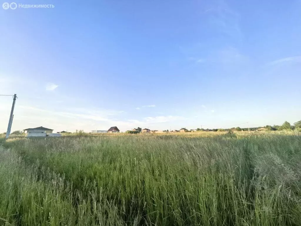 Участок в Медведевский район, Руэмское сельское поселение, деревня ... - Фото 2