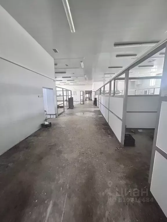 Помещение свободного назначения в Омская область, Саргатское рп ул. 50 ... - Фото 0