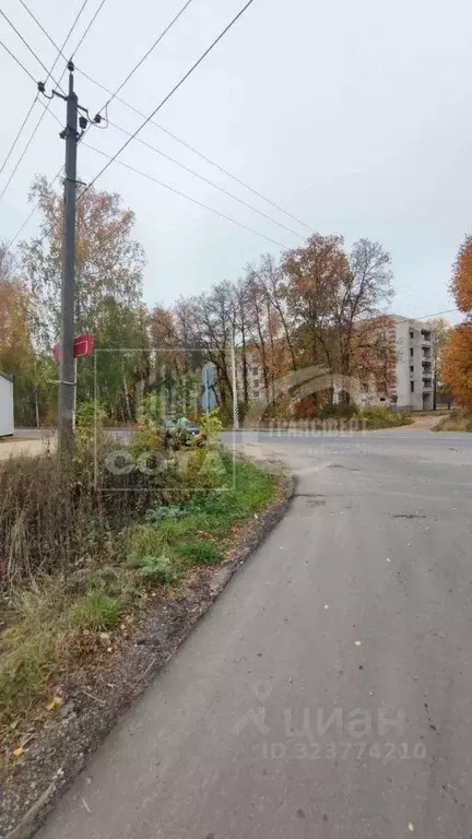 Участок в Воронежская область, Рамонский район, с. Березово  (14.0 ... - Фото 2