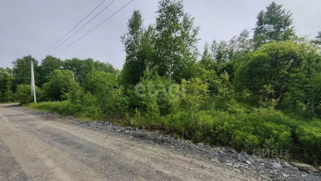 Участок в Хабаровский край, Хабаровский район, Мичуринское с/пос, ... - Фото 2