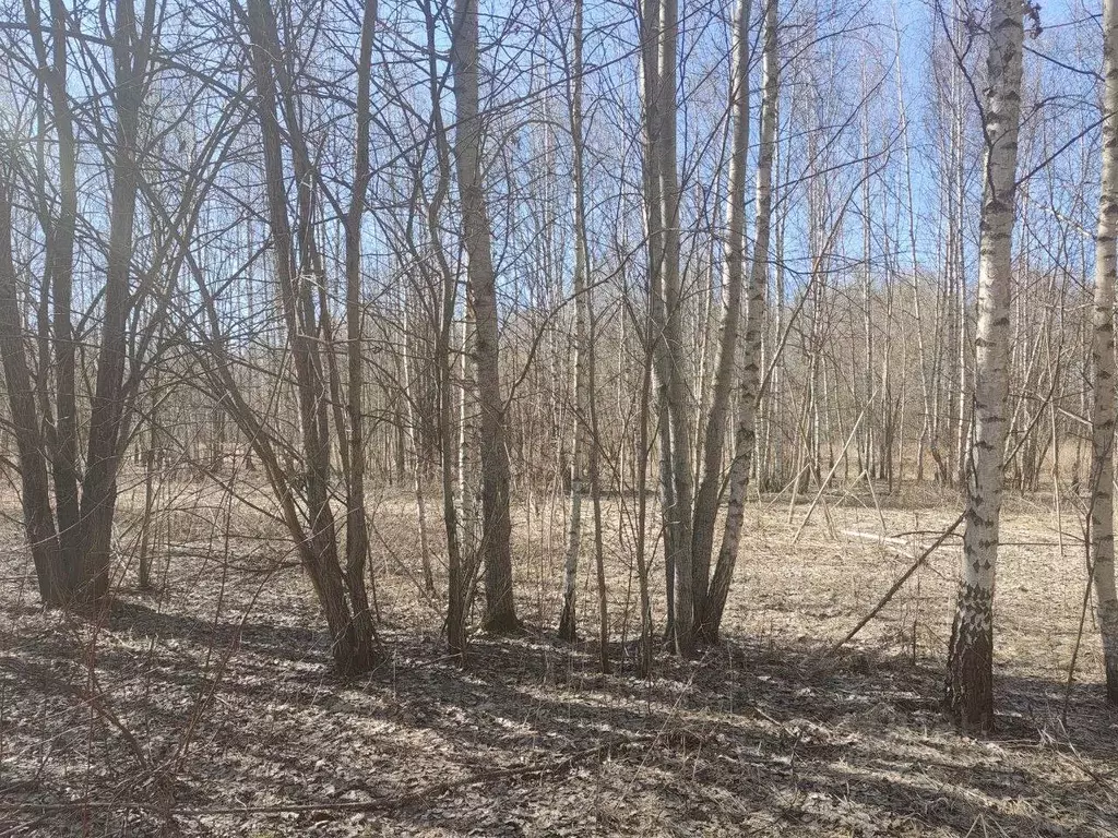 Участок в Московская область, Мытищи городской округ, пос. Менжинец  ... - Фото 1