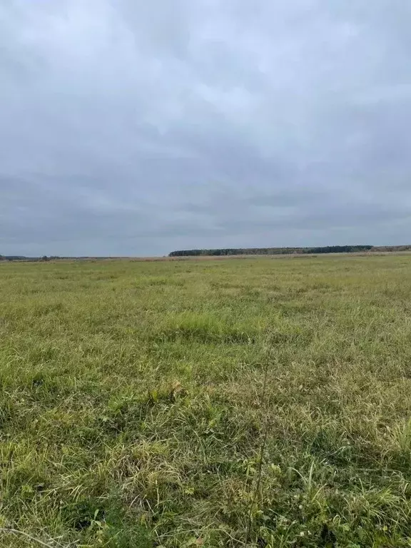 Участок в Московская область, Воскресенск городской округ, д. Ратчино  ... - Фото 0