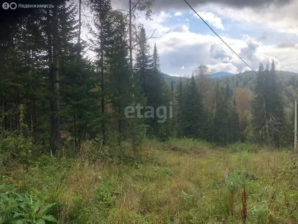 Участок в посёлок городского типа Шерегеш, Рябиновая улица (12 м) - Фото 1