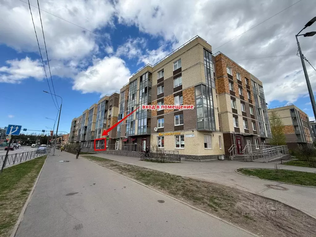 Помещение свободного назначения в Санкт-Петербург просп. Юнтоловский, ... - Фото 1