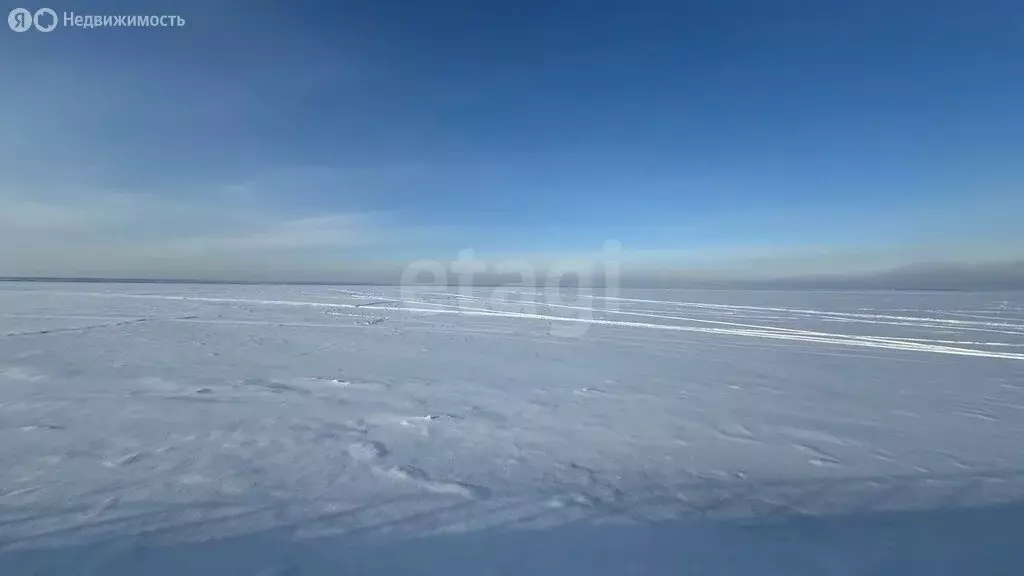 Участок в Нижегородская область, муниципальный округ Сокольский, село ... - Фото 2