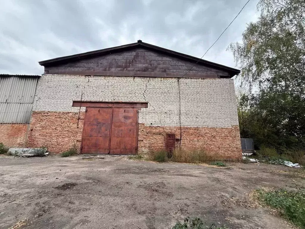 Склад в Воронежская область, Хохольское городское поселение, с. Хохол ... - Фото 1