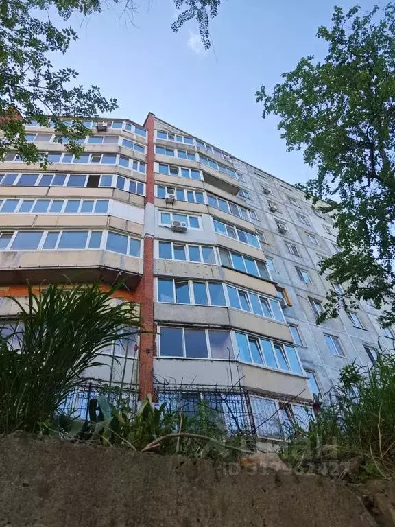 2-к кв. Приморский край, Владивосток ул. Гульбиновича, 21 (53.0 м) - Фото 1