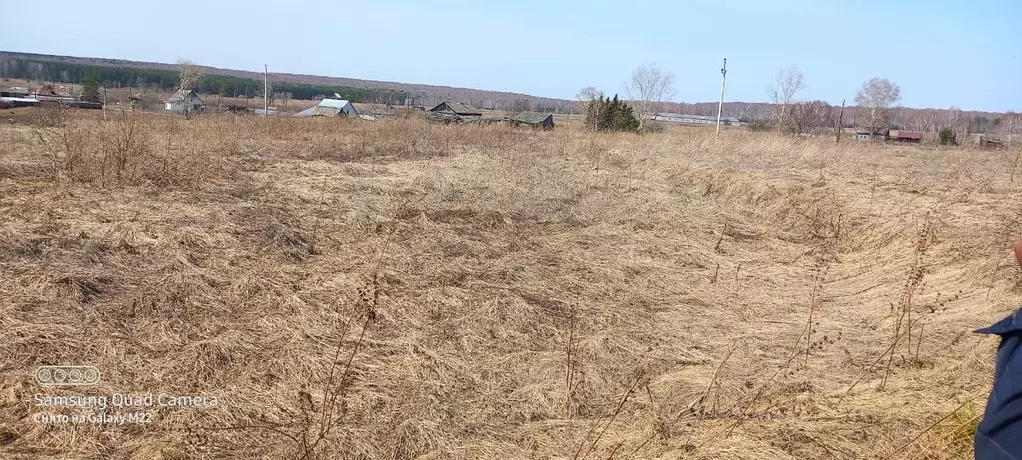 Погода в деревне усть тарсьма