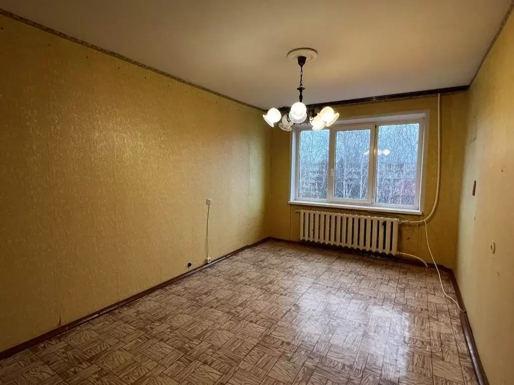 3-к кв. Владимирская область, Собинка Центральная ул., 20 (66.4 м) - Фото 2