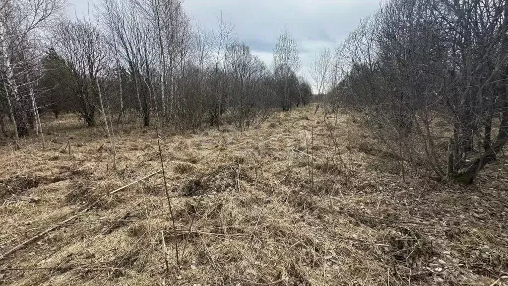 Участок в Кемеровская область, Кемеровский район, с. Силино  (15.0 ... - Фото 1
