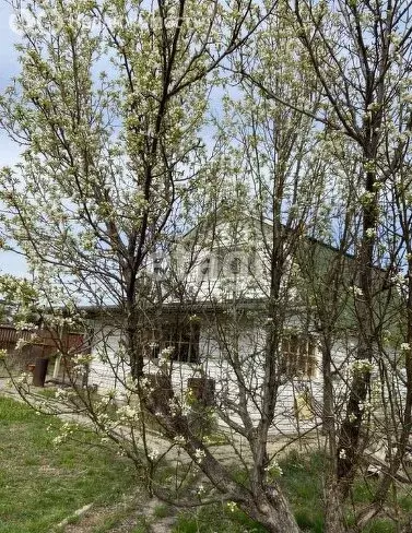 Дом в село Черная Речка, СНТ Авангард (69 м) - Фото 1