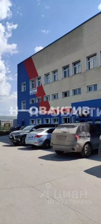 Помещение свободного назначения в Новосибирская область, Новосибирск ... - Фото 1