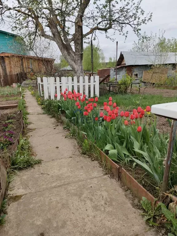 Дом в Высокогорский район (35 м) - Фото 1