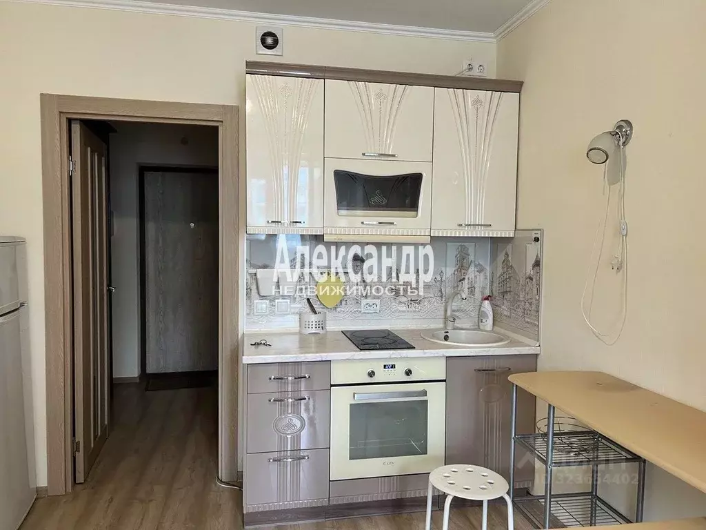 Студия Ленинградская область, Кудрово г. Всеволожский район, Заневское ... - Фото 2