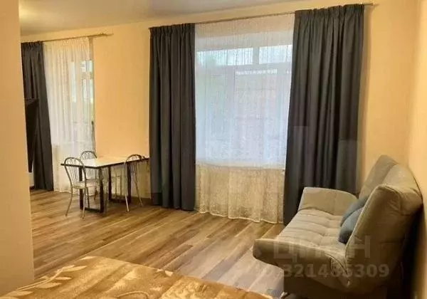 Студия Новосибирская область, Новосибирский район, Барышевский ... - Фото 2