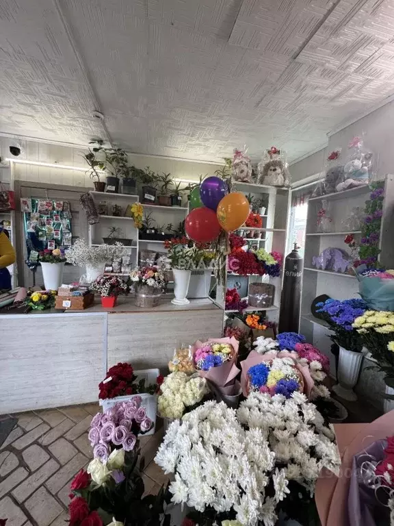 Торговая площадь в Белгородская область, Белгородский район, Дубовское ... - Фото 1