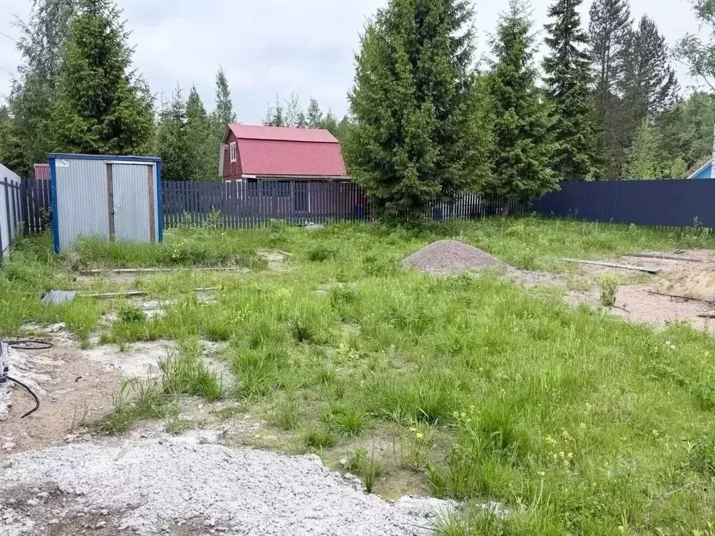 Участок в Ленинградская область, Выборгский район, Рощинское городское ... - Фото 1