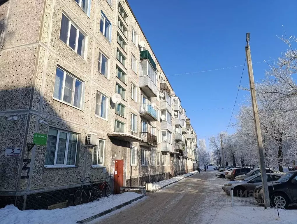 2-к кв. Ленинградская область, Волосовский район, д. Большая Вруда 3 ... - Фото 1