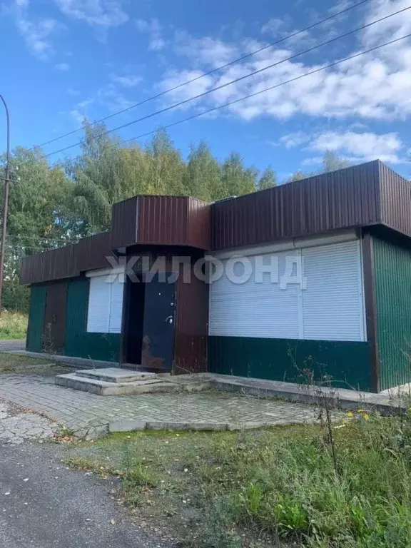 Торговая площадь в Новосибирская область, Тогучинский район, Горный рп ... - Фото 2