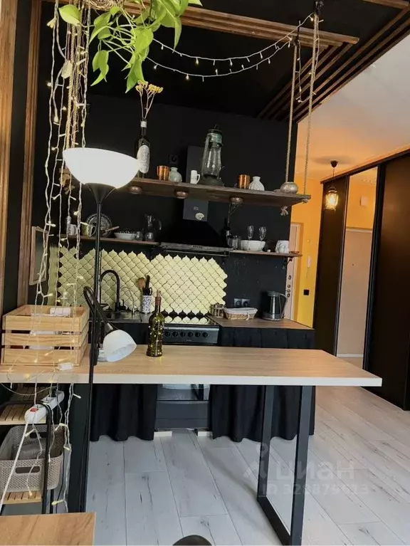 Студия Санкт-Петербург наб. Реки Каменки, 7к3 (25.0 м) - Фото 2