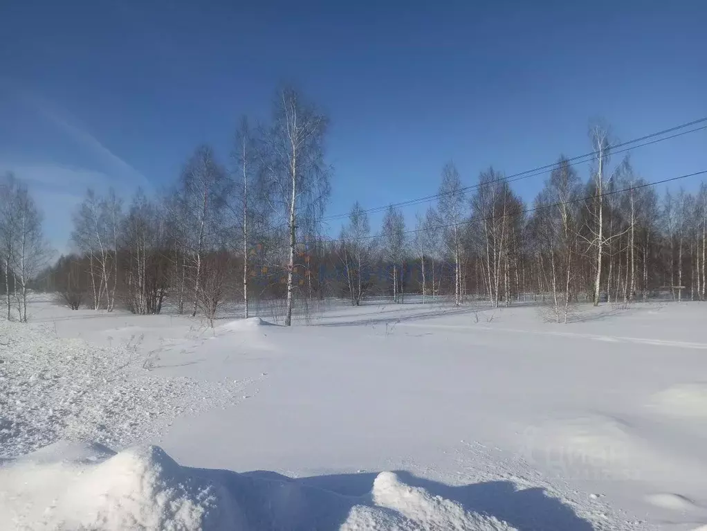 Участок в Нижегородская область, Балахнинский муниципальный округ, д. ... - Фото 0