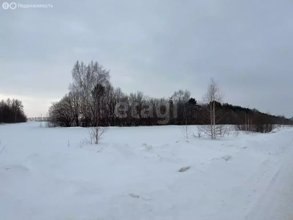 Участок в село Абашево, улица Абашевский Поворот (326 м) - Фото 2