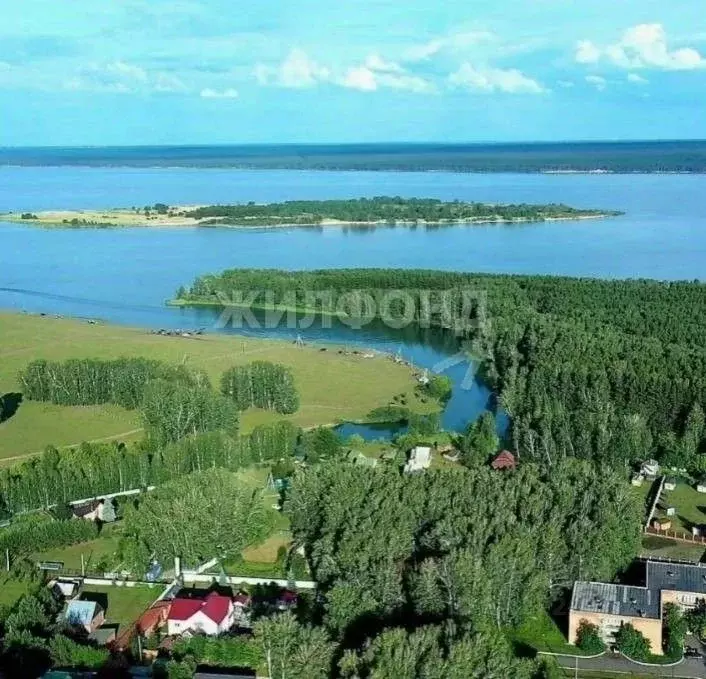 Участок в Новосибирская область, Ордынский район, с. Красный Яр ... - Фото 0