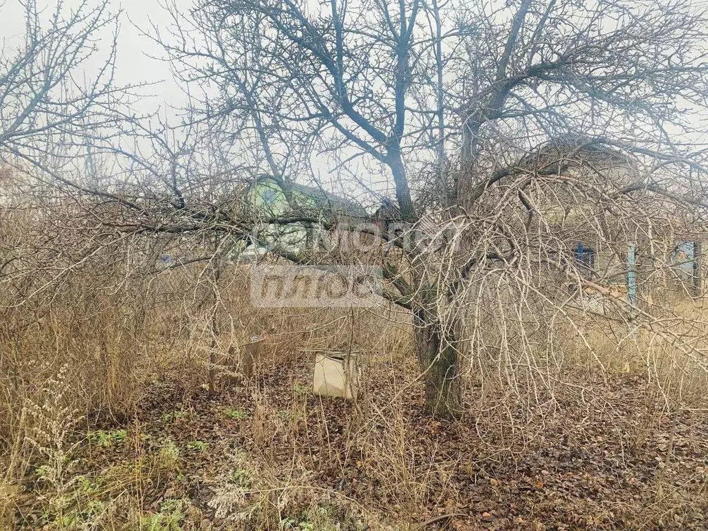 Дом в Волгоградская область, Волгоград Металлург СНТ, 1-й уч, 305 (35 ... - Фото 1