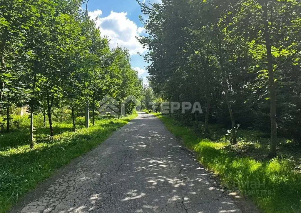 Участок в Московская область, Одинцовский городской округ, д. Калчуга  ... - Фото 0