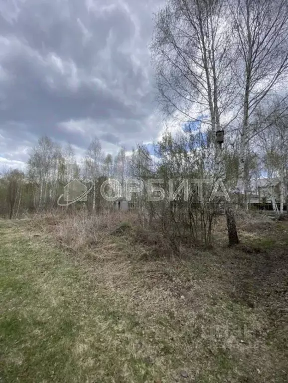 Участок в Тюменская область, Нижнетавдинский муниципальный округ, ... - Фото 1