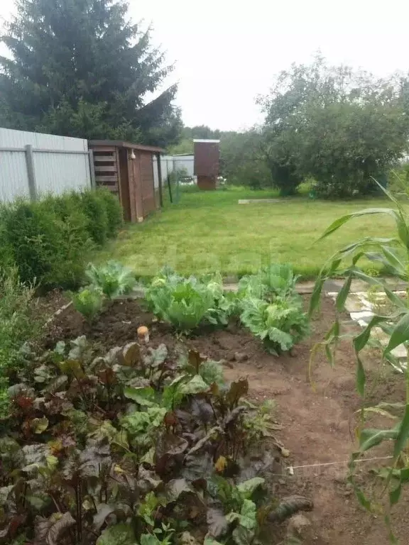 Участок в Ярославская область, Ярославль Маслопром садовое ... - Фото 1