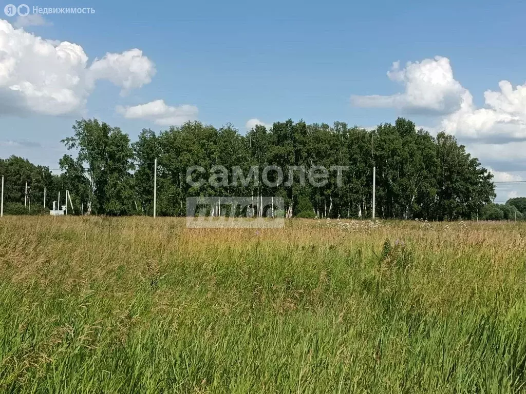 Участок в Новосибирский район, Верх-Тулинский сельсовет (10 м) - Фото 1