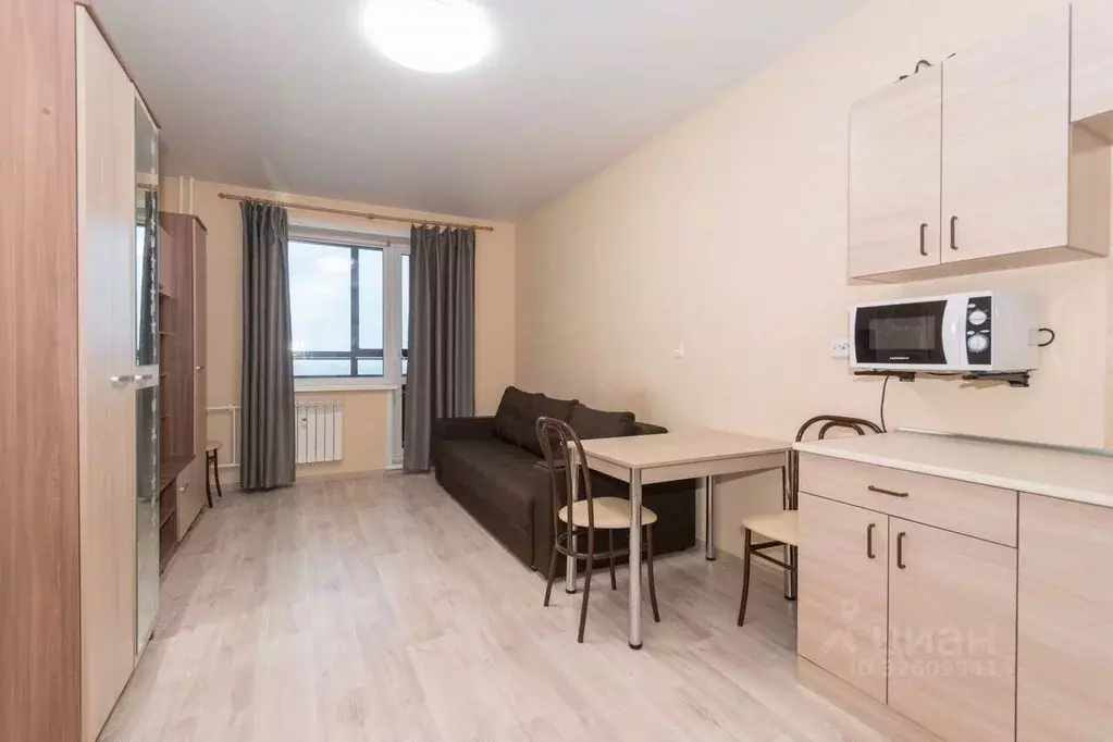 Студия Новосибирская область, Новосибирск Красный просп., 305 (27.0 м) - Фото 2