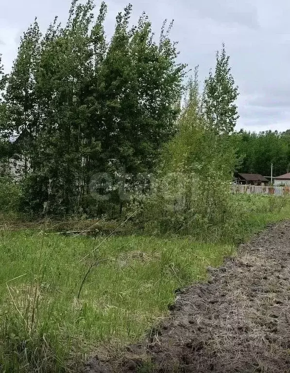 Участок в Новосибирская область, Новосибирский район, Кудряшовский ... - Фото 1