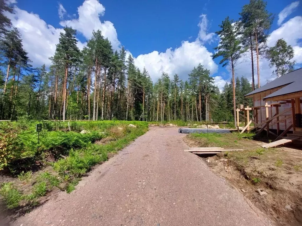 Участок в Ленинградская область, Выборгский район, Полянское с/пос, ... - Фото 1