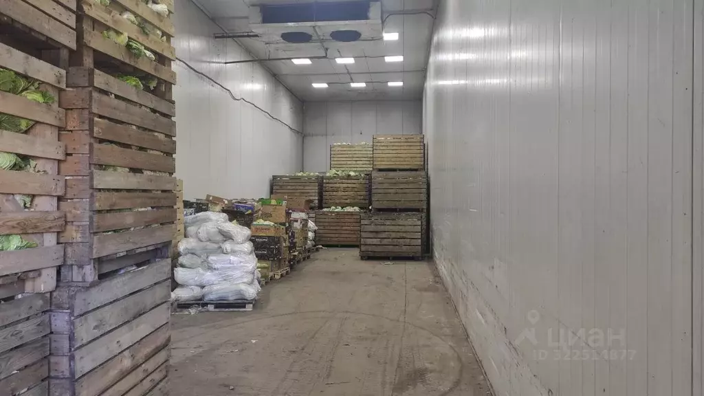 Производственное помещение в Самарская область, Ставропольский район, ... - Фото 1