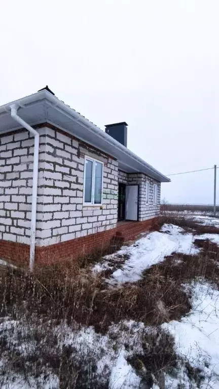 Дом в Саратовская область, Балаковский район, с. Натальино ул. Имени ... - Фото 1