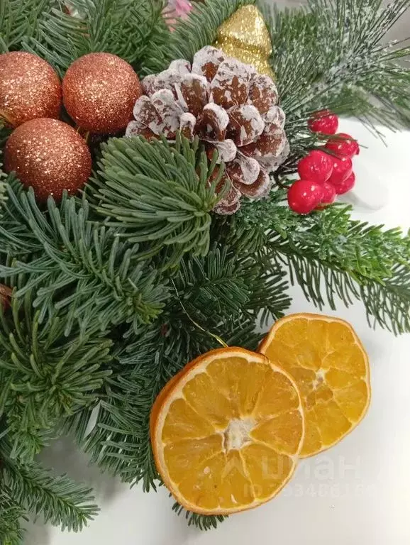 1-к кв. Оренбургская область, Оренбург ул. Кирова, 4 (37.0 м) - Фото 2