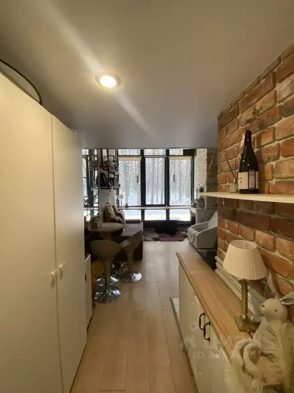 Студия Московская область, Ивантеевка Пушкинский городской округ, ... - Фото 1